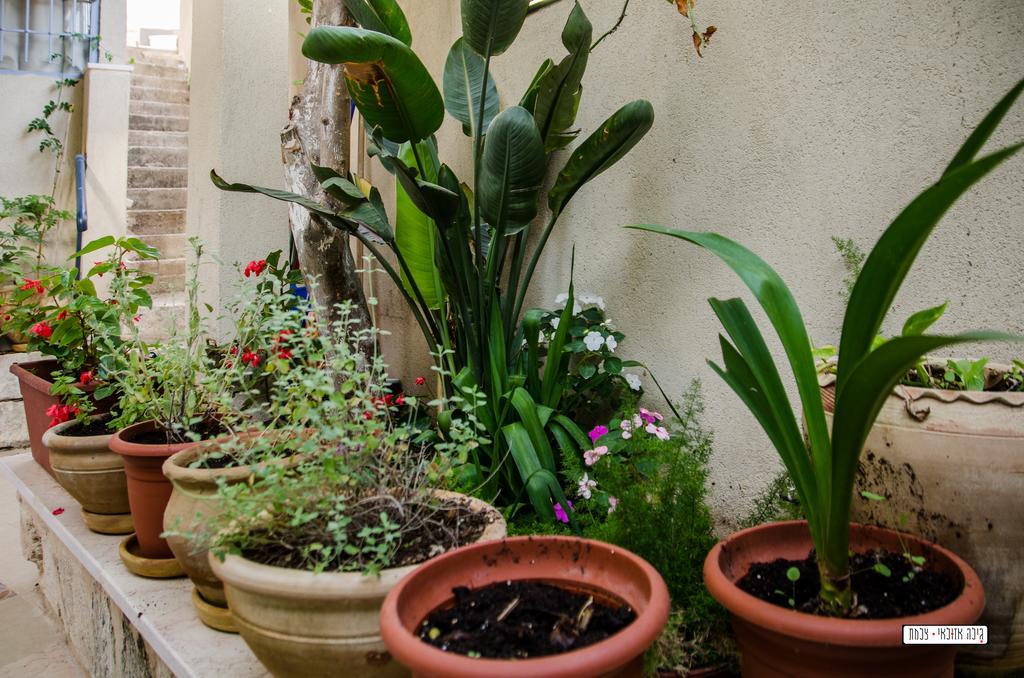 Alexandra House Hotel Nazareth Bagian luar foto
